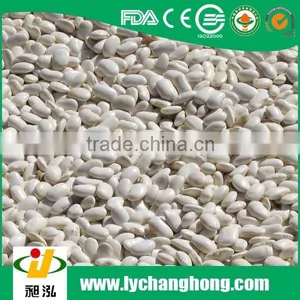 China New Crop Blanched Peanut Kernels 25/29, 29/33, 36/41 thumbnail-3