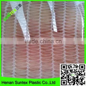 Supply Various Apple Tree Anti Hail Net/hail Protection Net/anti Brid Net thumbnail-3