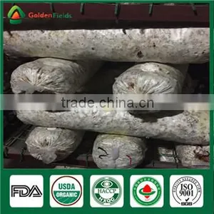 Wholesale Factory Price China Supplier Organic Shiitake Mushroom Growing Kits Bag thumbnail-1