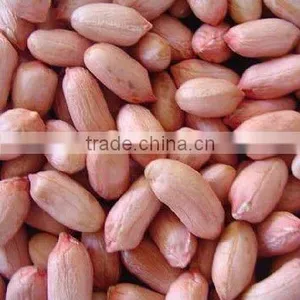 Peanut Kernels thumbnail-1