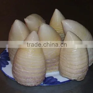 2016 New Crop Canned Bamboo Shoot 2950gram thumbnail-5