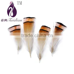 Yellow Pheasant Feathers Cheap for Sales thumbnail-1
