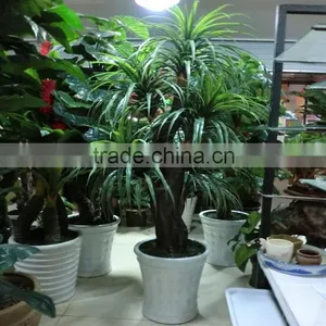 2016 New Designed Decoration Artificial Tree Bonsai With Competitive Price thumbnail-1