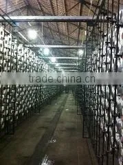 Wujiang Horizon Textile Co., Ltd. company overview - view 2 thumbnail