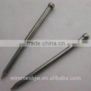 Ungalvanized Common Nails/Umbrella Head Roofing Nail With Big Head thumbnail-1