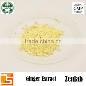 High Quality Gingerol Ginger Extract Ginger Root Powder thumbnail-3