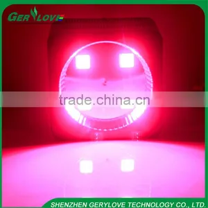 Ip 44 Led Grow Light Panel Grow Led Light Full Spectrum Cob 300watt Led Plant Growth Lights Best Heating Lamps for Greenhouses thumbnail-6