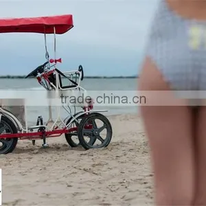 China Luxury Family Leisure Time Sightseeing Surrey Cycling thumbnail-1