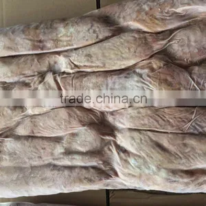 Fresh Frozen Seafood Skipjack Tuna Cooked Loins thumbnail-1