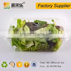 Rectangle Transparent Take Away Plastic Salad Box With Lid thumbnail-3