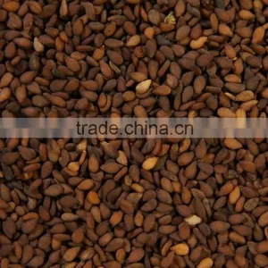 Brown Sesame Seed thumbnail-2