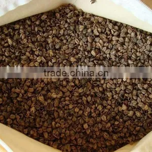 BB High Quality Raw Sweet Buckwheat Price thumbnail-3