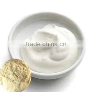 Good Quality Yougurt Powder for Ice Cream thumbnail-1