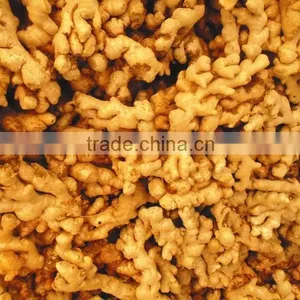 Fresh Ginger From VIETNAM thumbnail-2