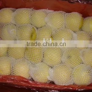 Golden Apple thumbnail-1