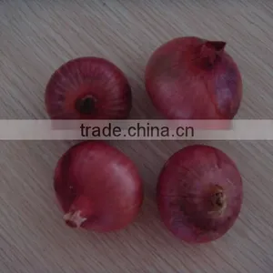 2015 Crop Fresh Red Onions for Sales With Market Price thumbnail-2