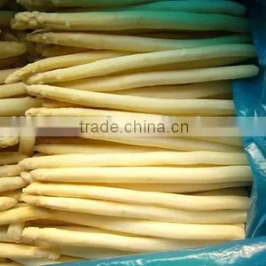 IQF Fresh Green Asparagus From China thumbnail-5