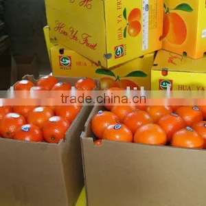 Fresh New Navel Orange thumbnail-1