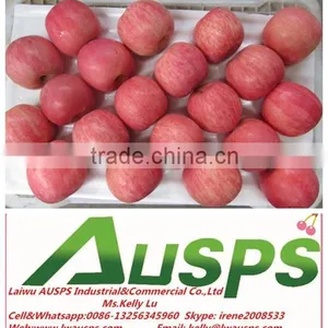 China Red Mature Fuji Apple Supplier thumbnail-3