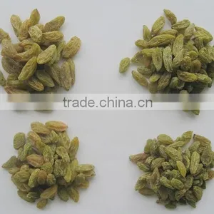 Big Size Sweet Green Raisin Hot Sale thumbnail-2