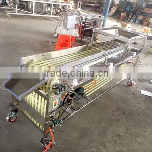 Date Grading Machine, Date Sorting Machine, Chinese Date Processing Machine thumbnail-5