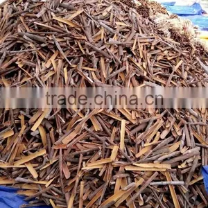 VIETNAM HIGH QUALITY CINNAMON thumbnail-1