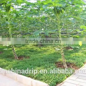Drip Irrigation Drip Tape Irrigation Male Threaded Tee Drip Line thumbnail-5