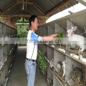 Rabbit Cage Manufacturer thumbnail-1