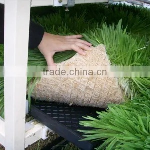 BK Conveyor Culture thumbnail-2