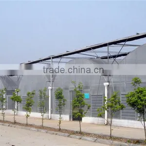 Mechanism Roll up Ventilation Film Greenhouse thumbnail-2
