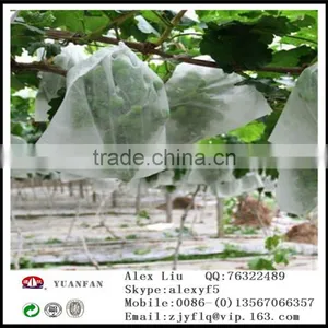 Anti-UV White pp Non Woven Fabrici Used in Plant Cover thumbnail-2