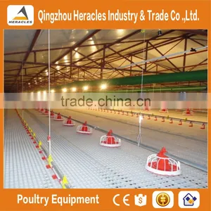 Heracles Factory Price Best Selling Equipment Poultry- Flooring Chicken Feeding and Drinking Line for Broiler thumbnail-5