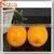 Wholesale Different Style Of Artificial Fruit For Decoration Artificial Fruit Ornaments thumbnail-6