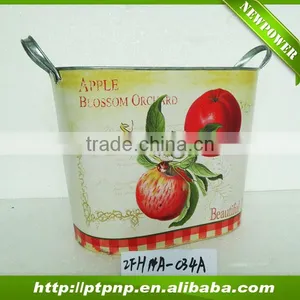 Fruit Design Metal Vertical Garden Planter With Handle thumbnail-1