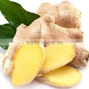 Young Ginger From China thumbnail-2