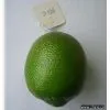 Artificial Vegetable thumbnail-1