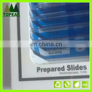 Animal Type Serial Plastic Microscope Prepared Slides thumbnail-2