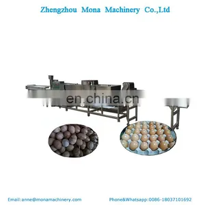 Egg Washing Grading Sterilization Machine Egg Processing Equipment thumbnail-4