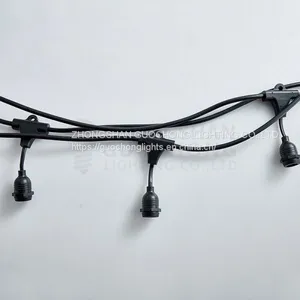 Weatherproof String Light thumbnail-1