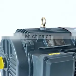 Custom New Design 3kw YE2 Series 100L-2 Ie2 Motor Three Phase Electric ac Motor of China Supplier thumbnail-1