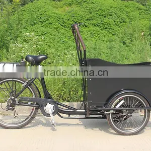 Electric Safety Box Trike With Canopy thumbnail-3