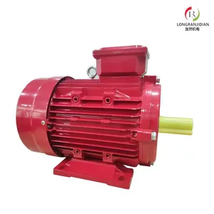 Ie3 Premium Efficiency Electric Motor thumbnail-3