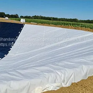 Reservoir Hdpe Geomembrane Liner 1.0mm Thick 8m Wide thumbnail-2