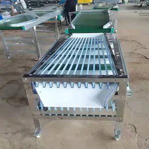 Avocado Fruit Sorting Grading Machine Sorter Grader Machine Line Classifying Machines thumbnail-2