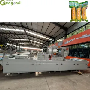Quick-Freezing Production Line for High-Quality Fresh Corn With Vacuum Packed thumbnail-3