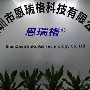 Shenzhen Enruige Technology Co Ltd company overview - view 1 thumbnail