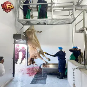 WFA Turnkey Cattle Abattoir Project Full Automatic Cattle Slaughter Line & Processing Equipment thumbnail-1