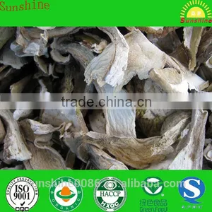 High Quality High Quality Dried Boletus Mushroom in Yunnan thumbnail-1
