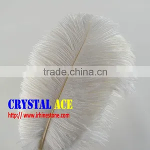 White Colour Party Ostrich Feathers, Ostrich Plumes Feathers, Dyed Ostrich Plumes for Wholesale thumbnail-1
