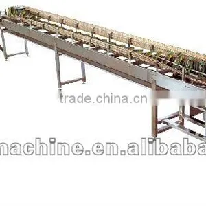 Bottle Inverse Sterilizer Machine/Equipment thumbnail-1
